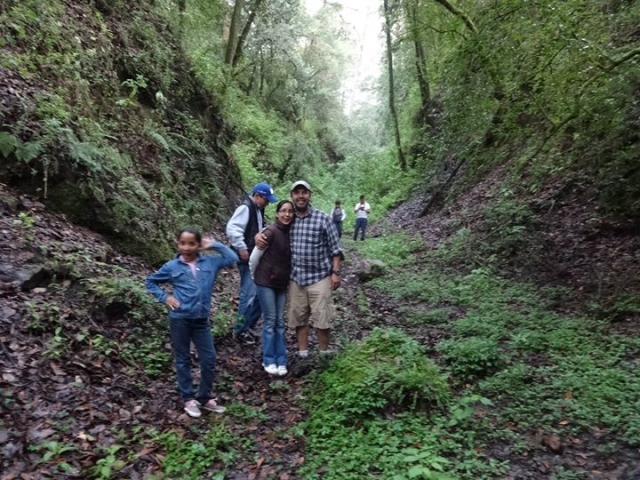 rutas de bosque